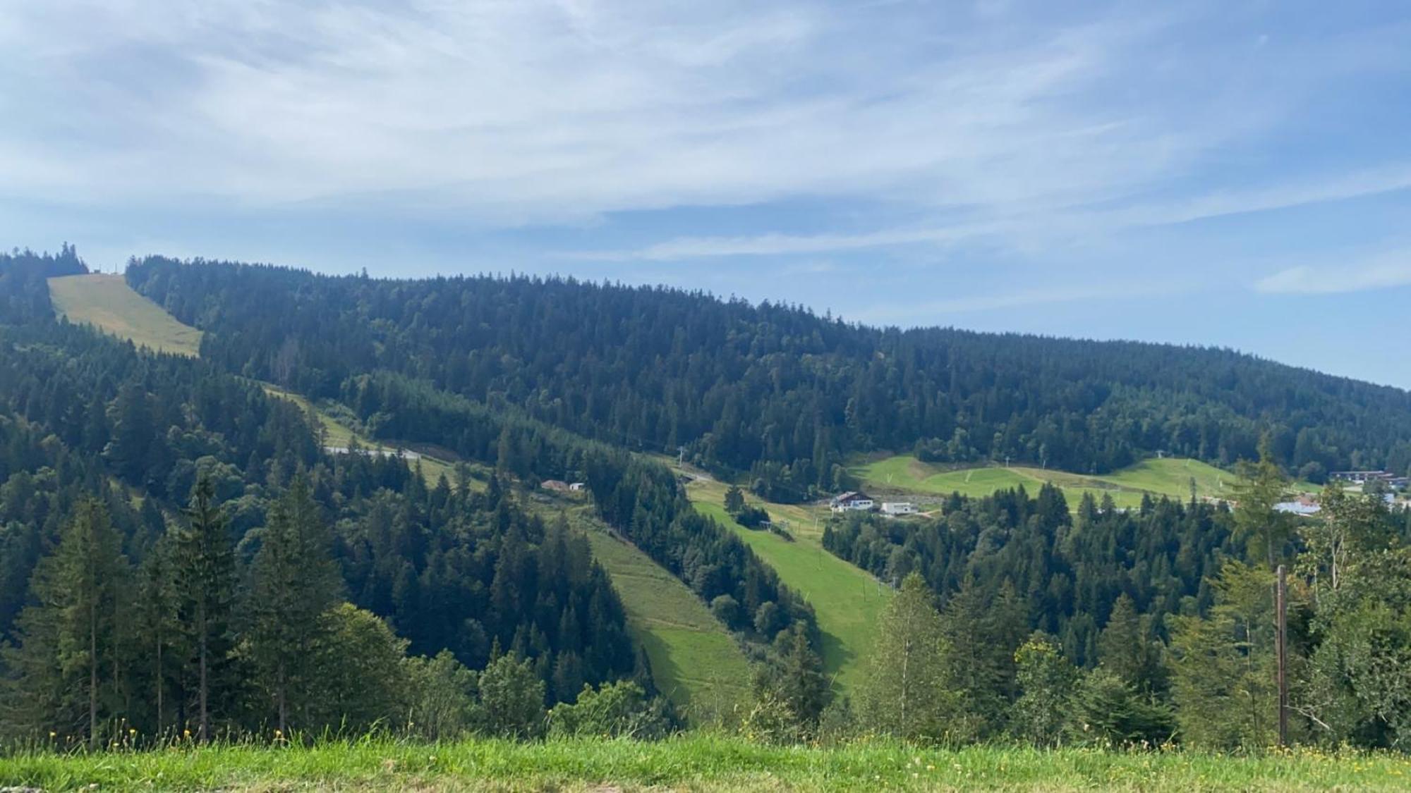 Appartement Sur Les Hauteurs De Gérardmer Zewnętrze zdjęcie